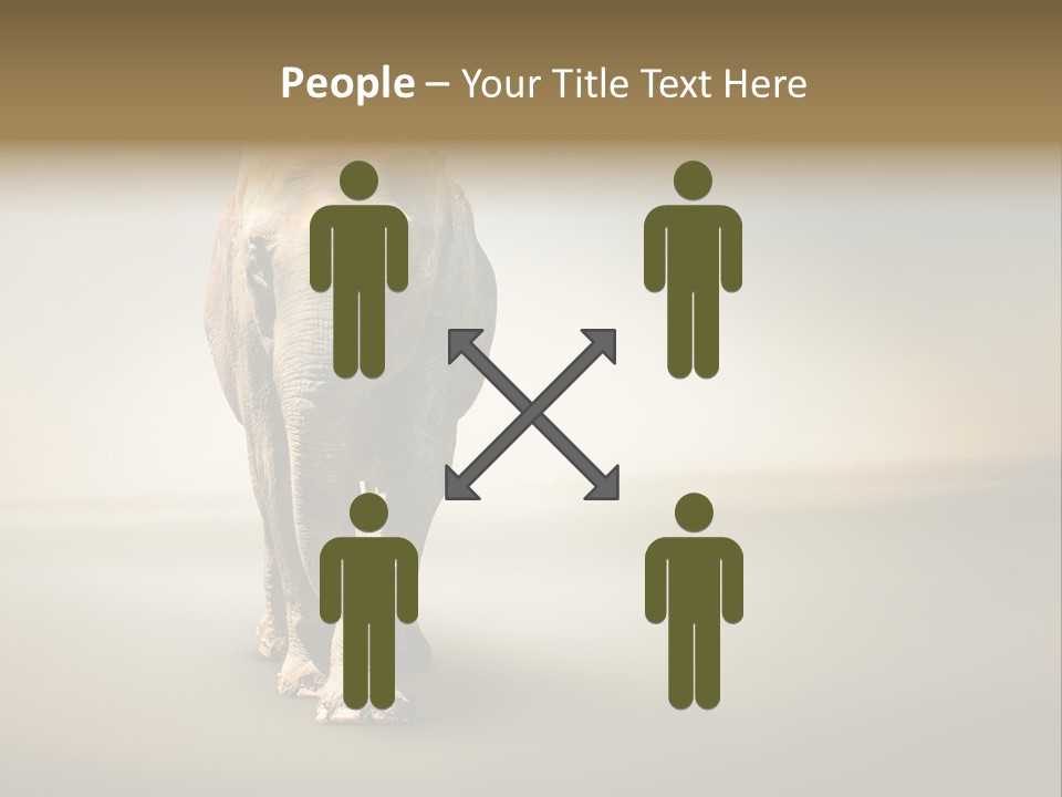 Africa Desert Fog PowerPoint Template