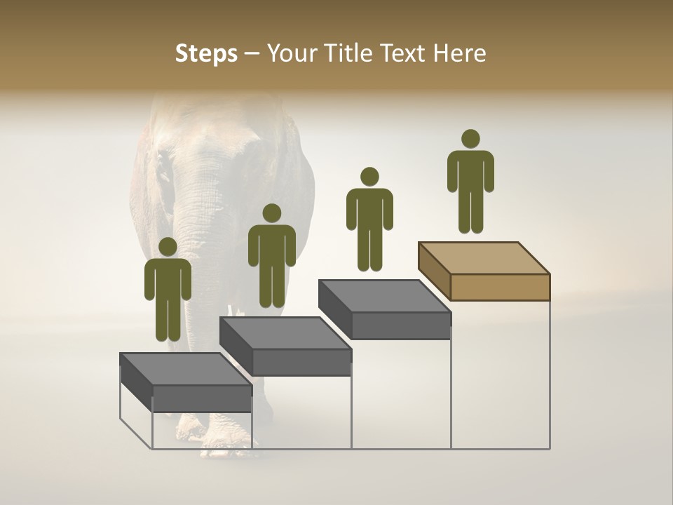 Africa Desert Fog PowerPoint Template