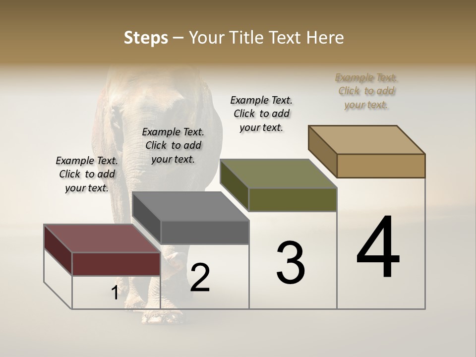 Africa Desert Fog PowerPoint Template