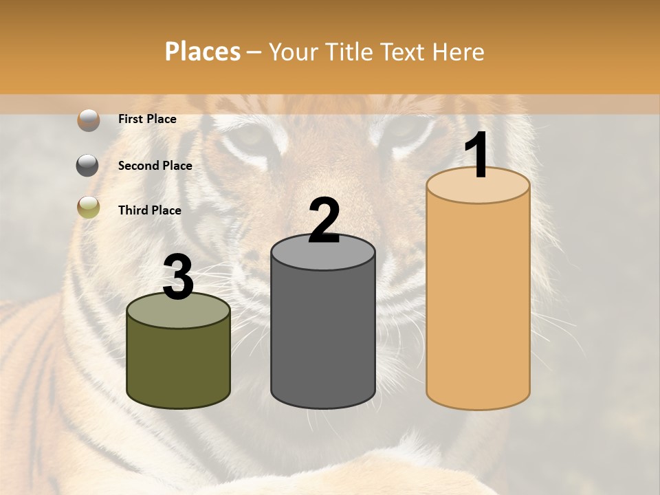 Jungle Wildcat Orange PowerPoint Template