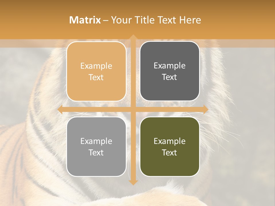 Jungle Wildcat Orange PowerPoint Template