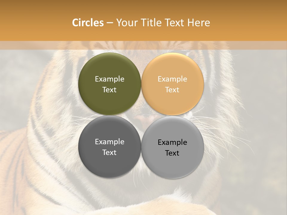 Jungle Wildcat Orange PowerPoint Template