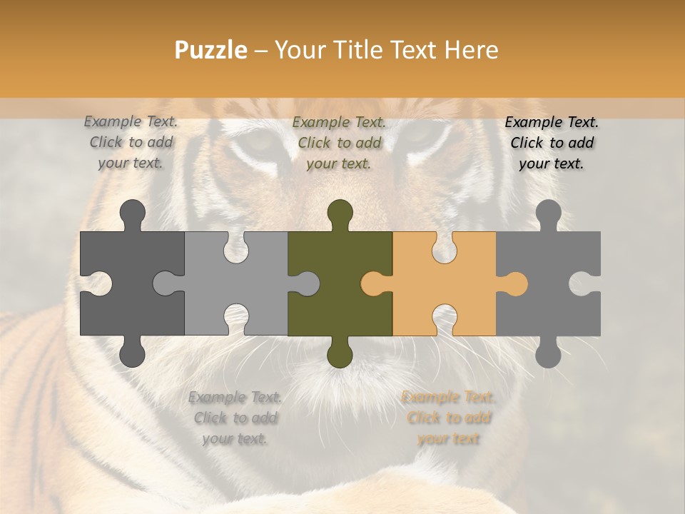 Jungle Wildcat Orange PowerPoint Template