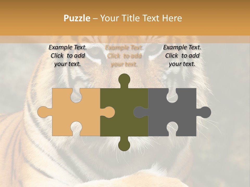 Jungle Wildcat Orange PowerPoint Template
