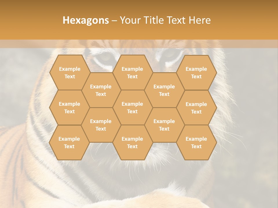Jungle Wildcat Orange PowerPoint Template