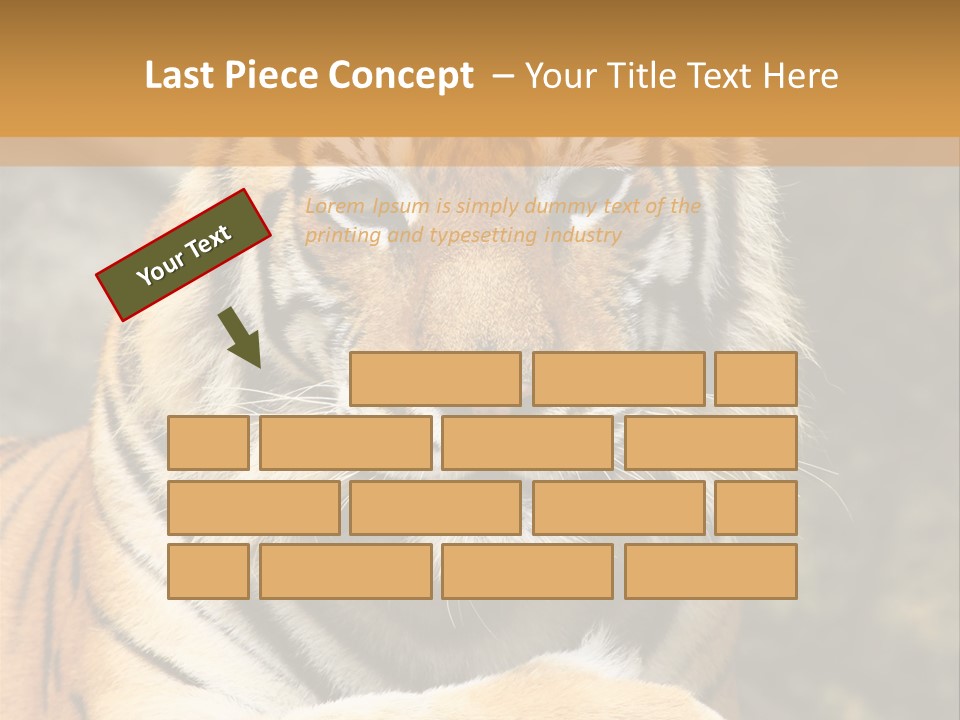 Jungle Wildcat Orange PowerPoint Template