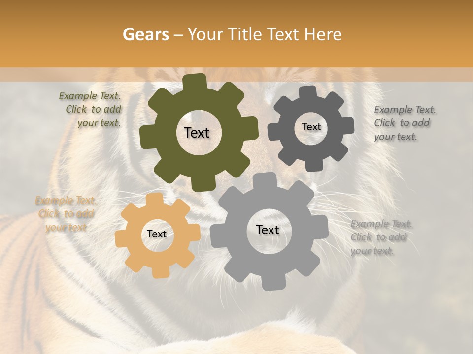 Jungle Wildcat Orange PowerPoint Template