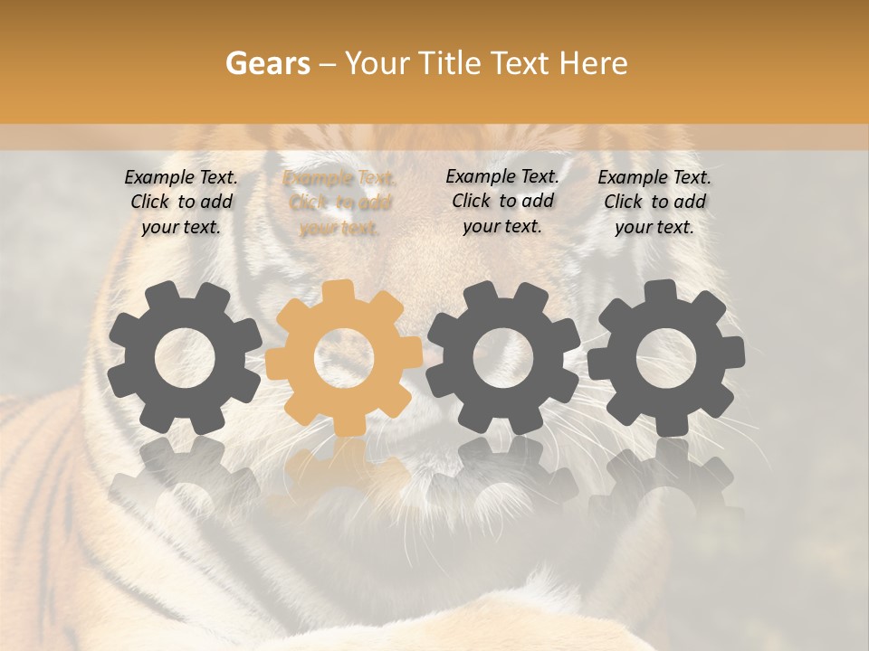 Jungle Wildcat Orange PowerPoint Template