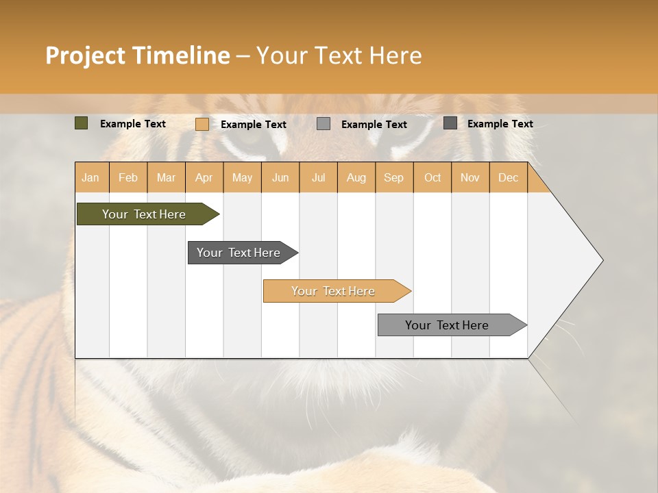 Jungle Wildcat Orange PowerPoint Template