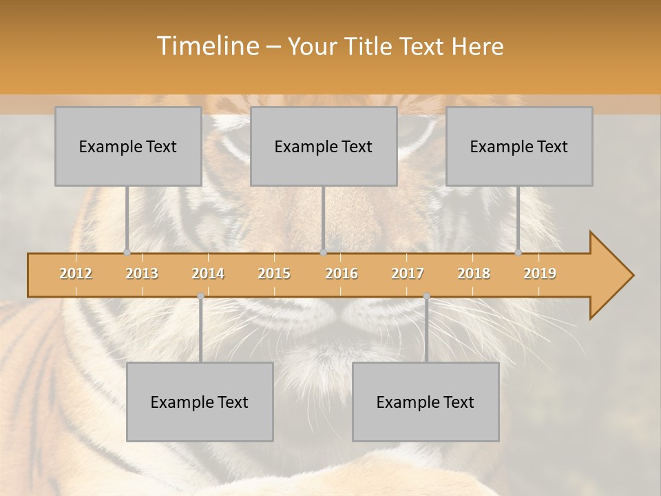 Jungle Wildcat Orange PowerPoint Template
