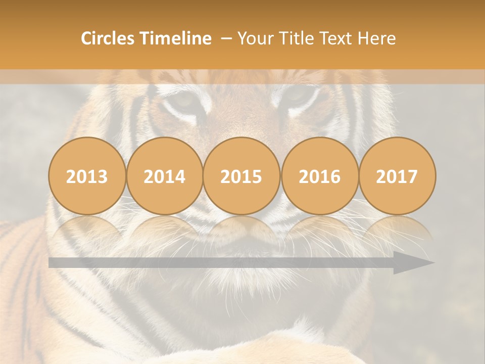 Jungle Wildcat Orange PowerPoint Template