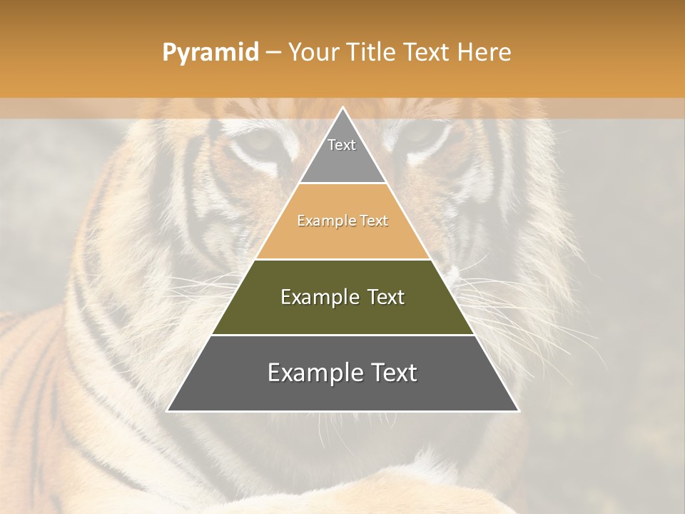 Jungle Wildcat Orange PowerPoint Template