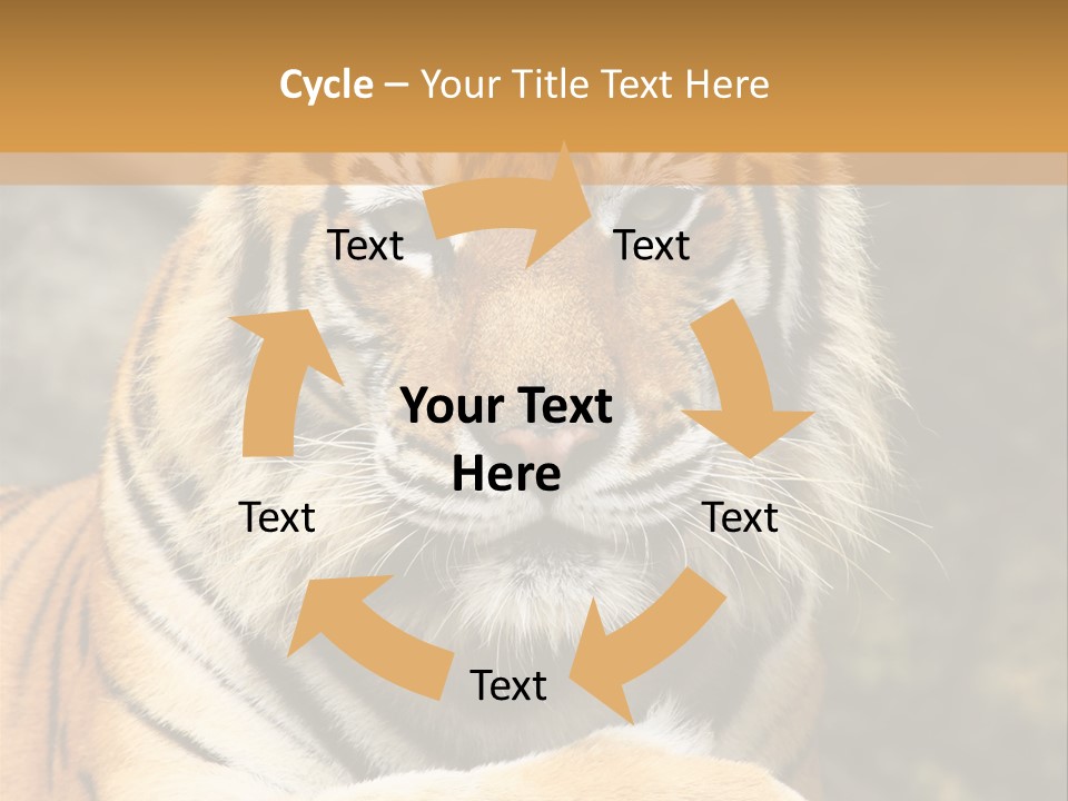 Jungle Wildcat Orange PowerPoint Template