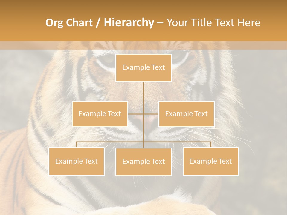Jungle Wildcat Orange PowerPoint Template