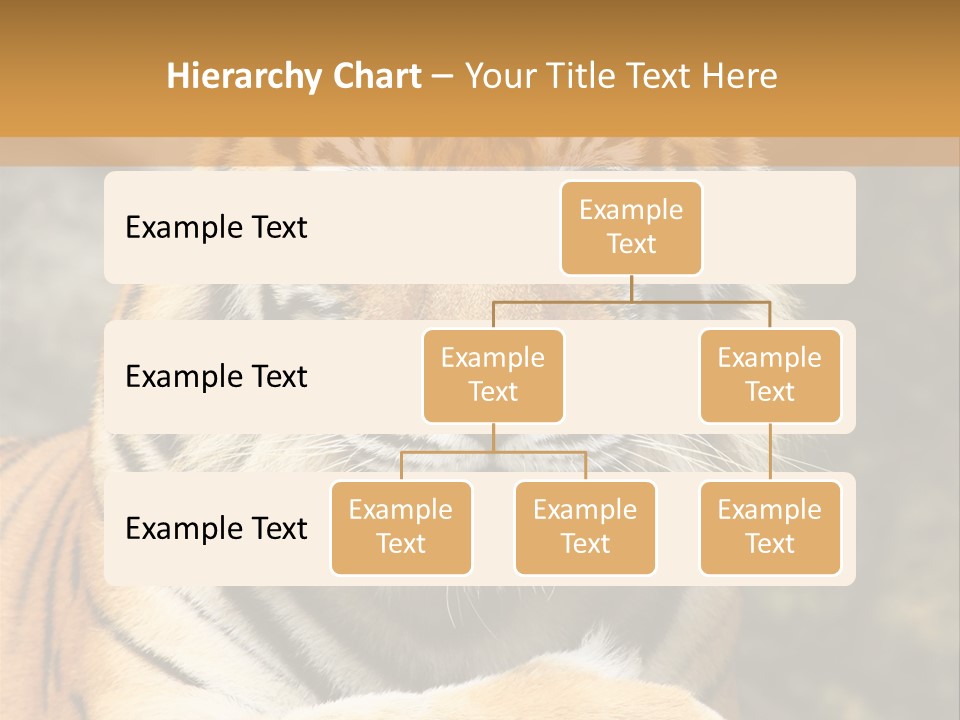 Jungle Wildcat Orange PowerPoint Template