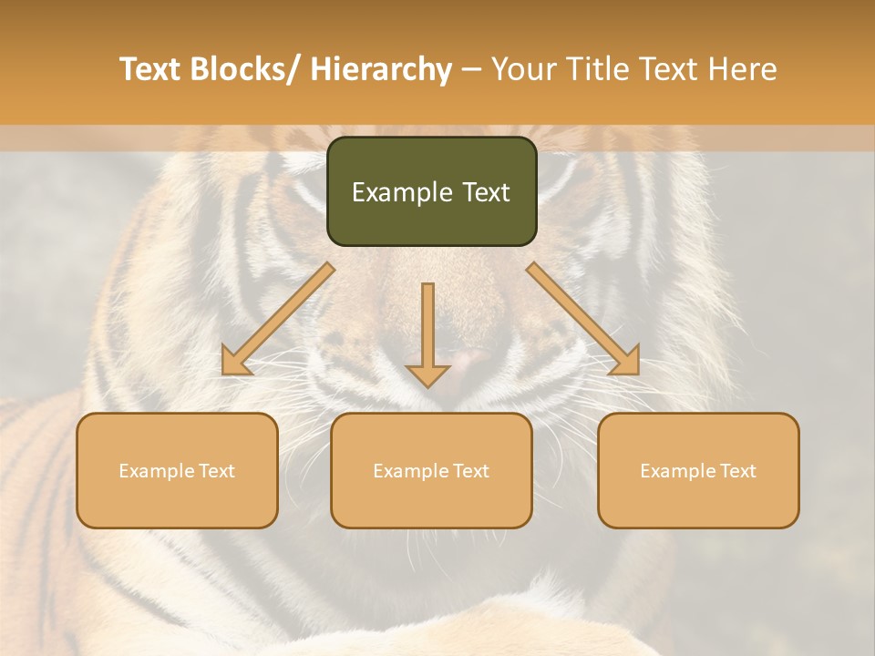 Jungle Wildcat Orange PowerPoint Template