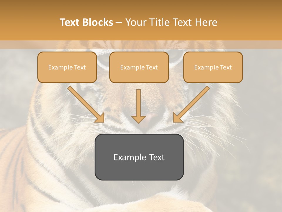 Jungle Wildcat Orange PowerPoint Template