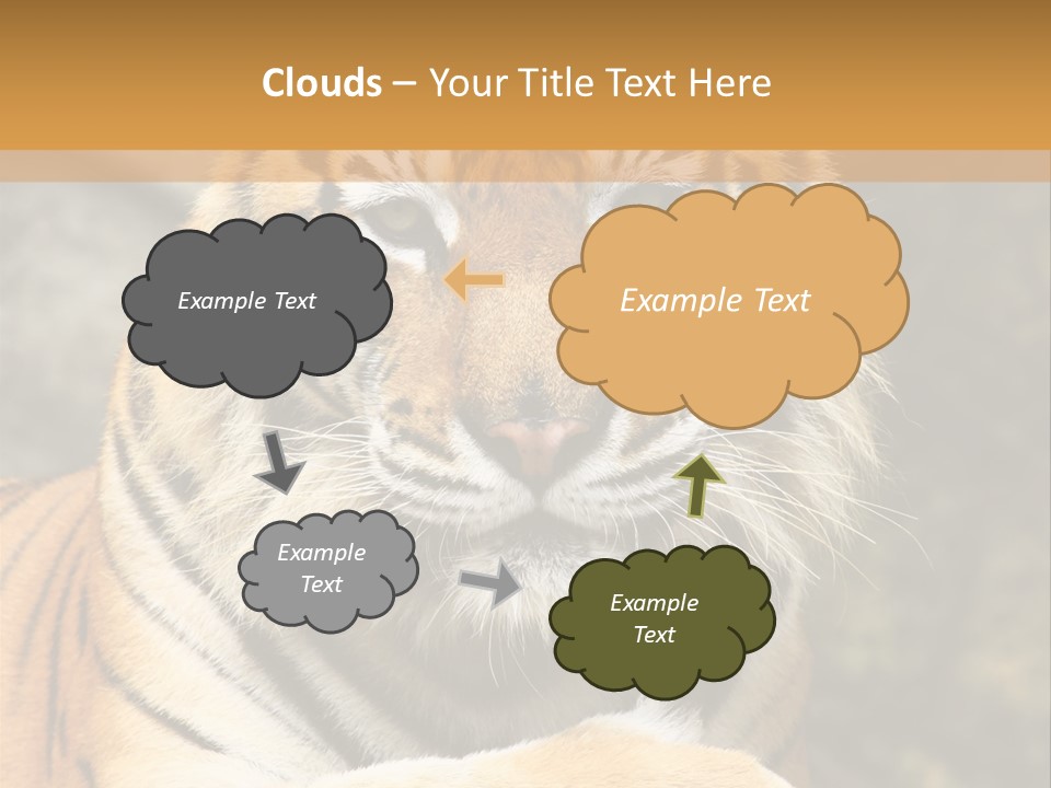 Jungle Wildcat Orange PowerPoint Template