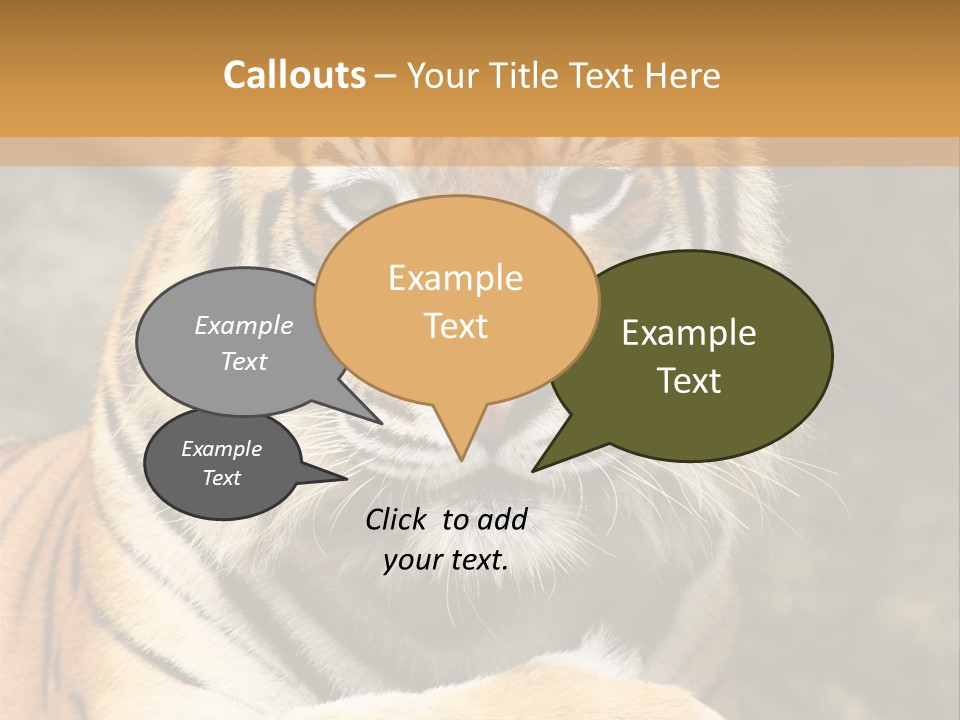 Jungle Wildcat Orange PowerPoint Template