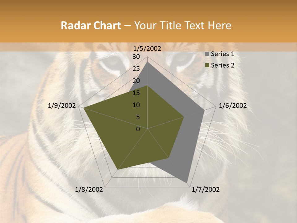 Jungle Wildcat Orange PowerPoint Template