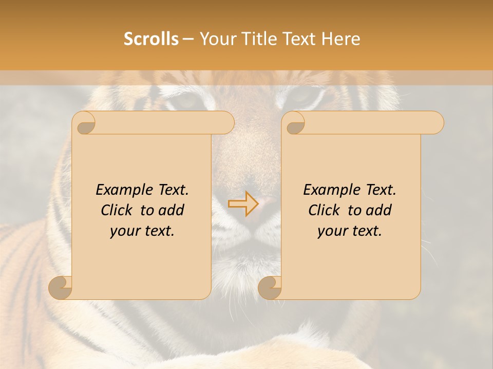 Jungle Wildcat Orange PowerPoint Template