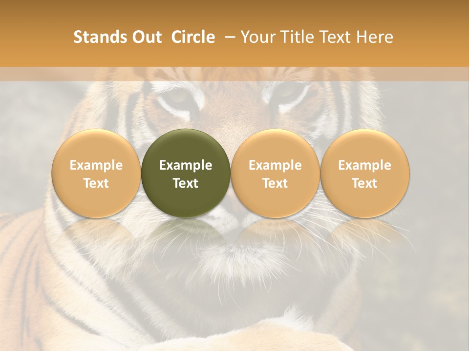 Jungle Wildcat Orange PowerPoint Template