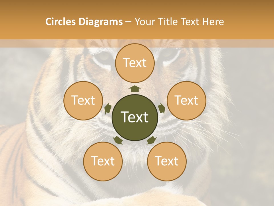 Jungle Wildcat Orange PowerPoint Template