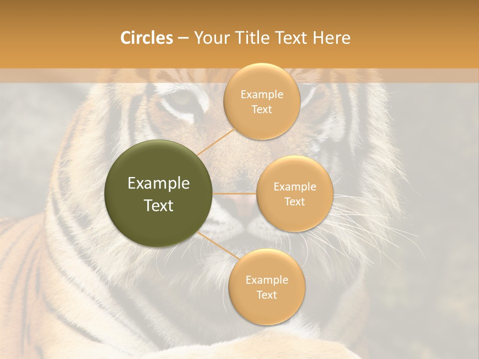 Jungle Wildcat Orange PowerPoint Template