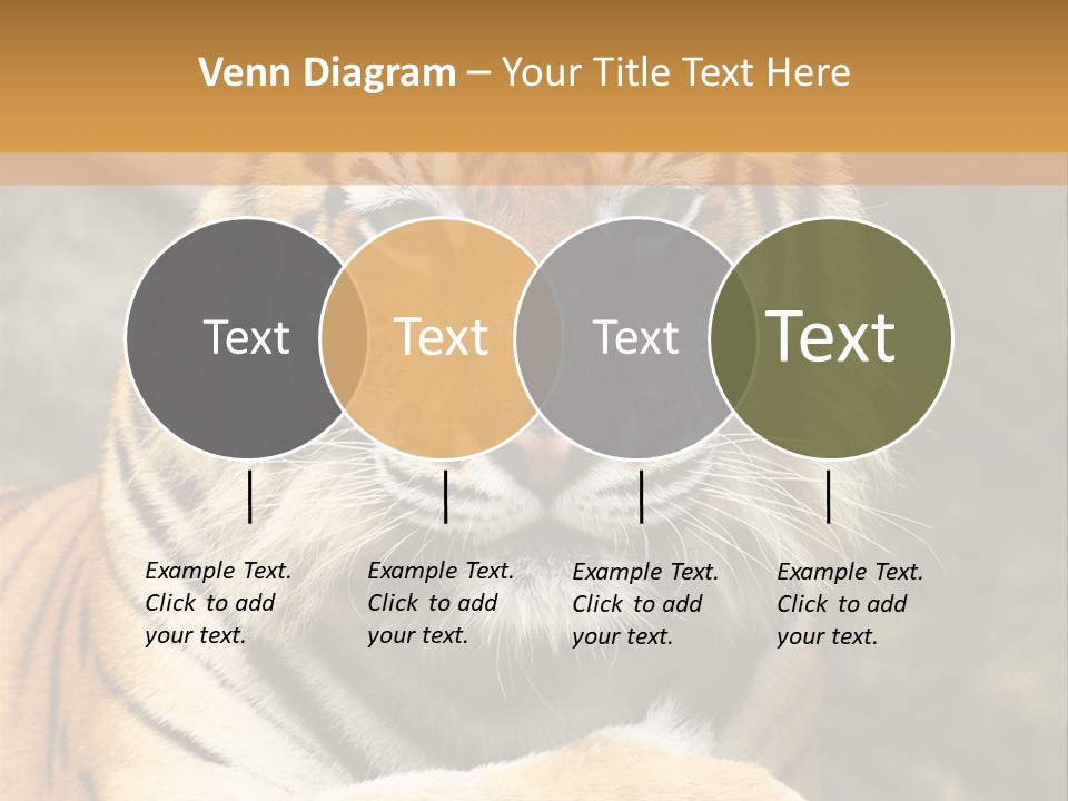 Jungle Wildcat Orange PowerPoint Template
