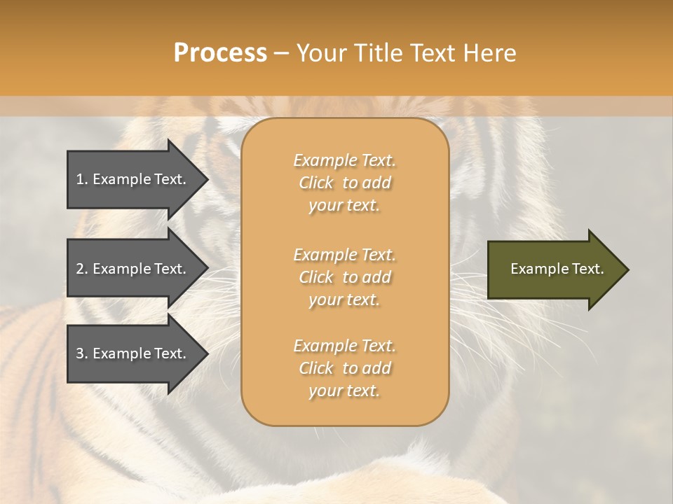 Jungle Wildcat Orange PowerPoint Template