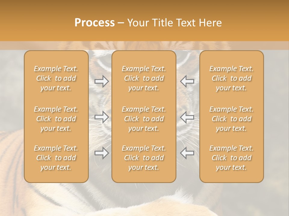 Jungle Wildcat Orange PowerPoint Template
