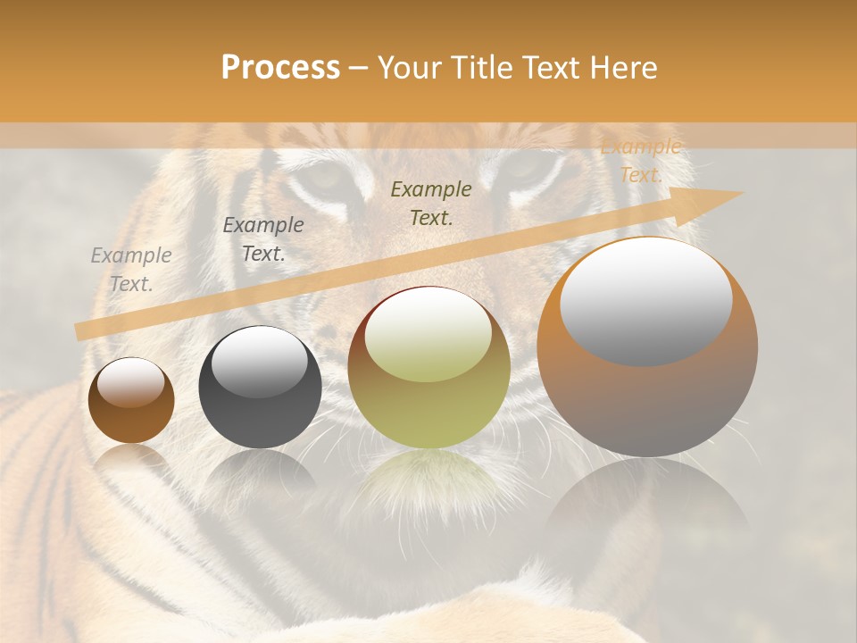 Jungle Wildcat Orange PowerPoint Template