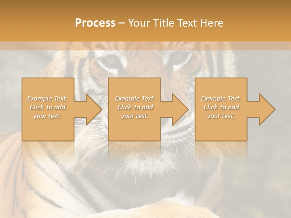 Jungle Wildcat Orange PowerPoint Template