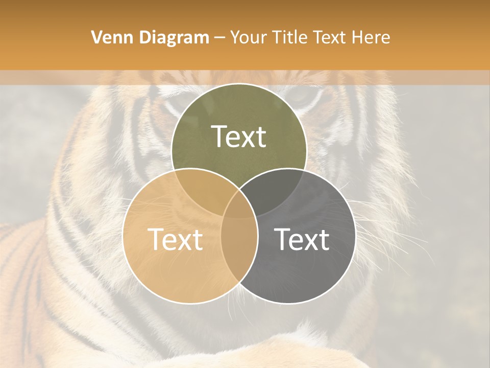 Jungle Wildcat Orange PowerPoint Template