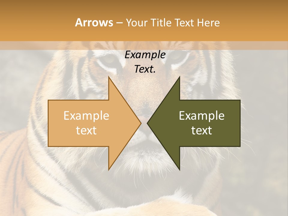 Jungle Wildcat Orange PowerPoint Template