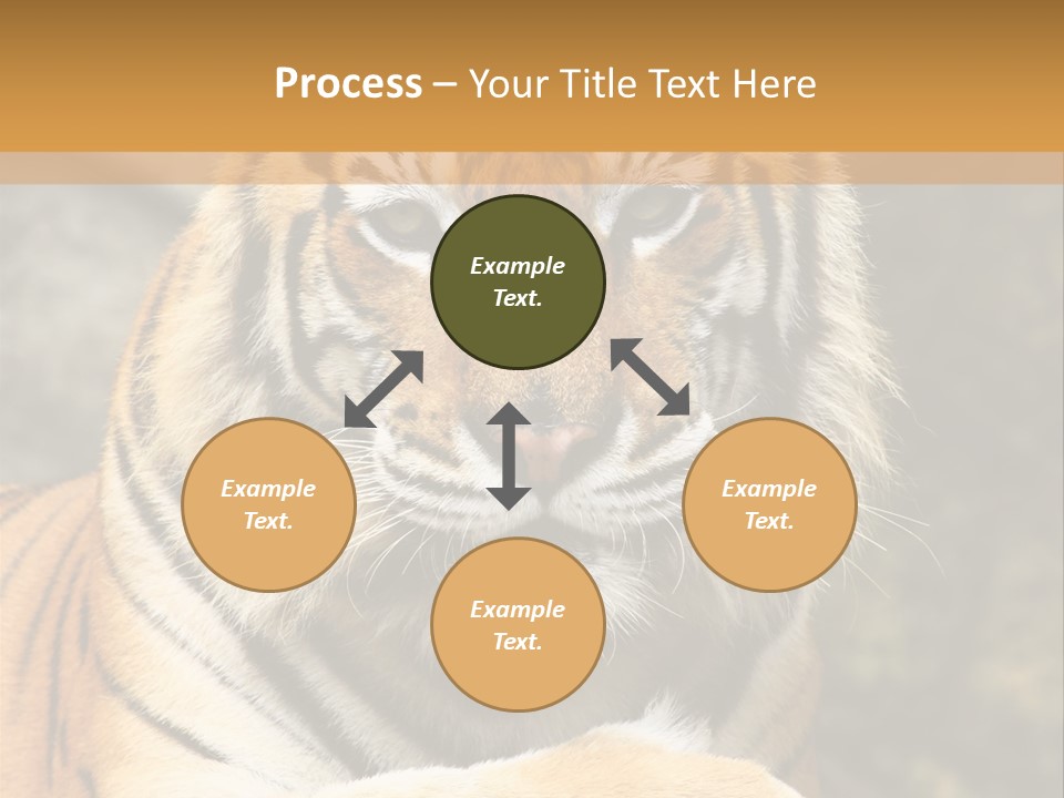 Jungle Wildcat Orange PowerPoint Template