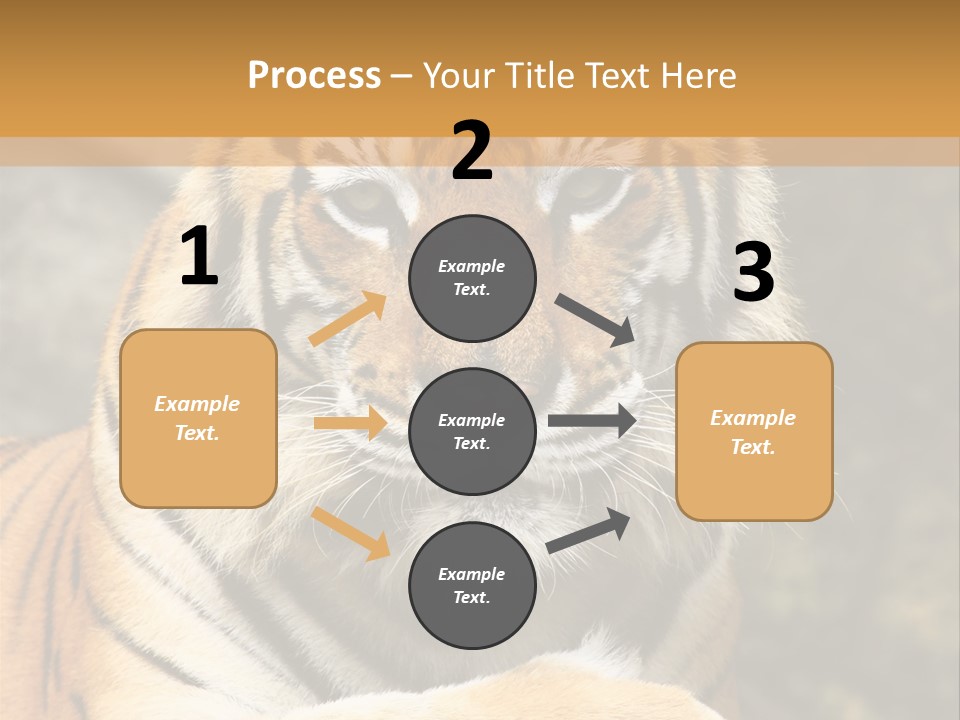 Jungle Wildcat Orange PowerPoint Template