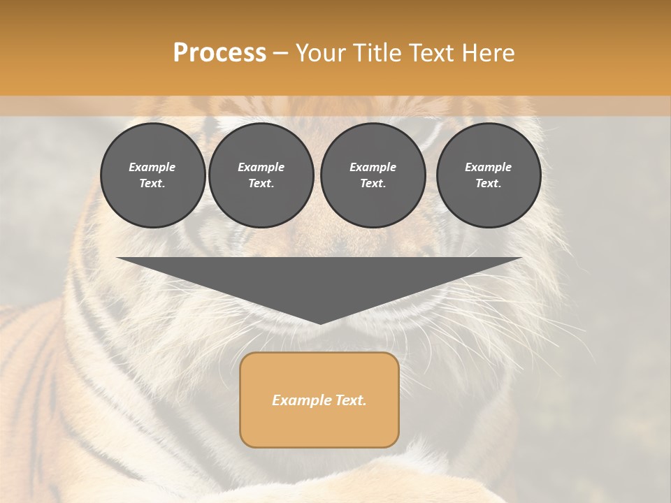 Jungle Wildcat Orange PowerPoint Template
