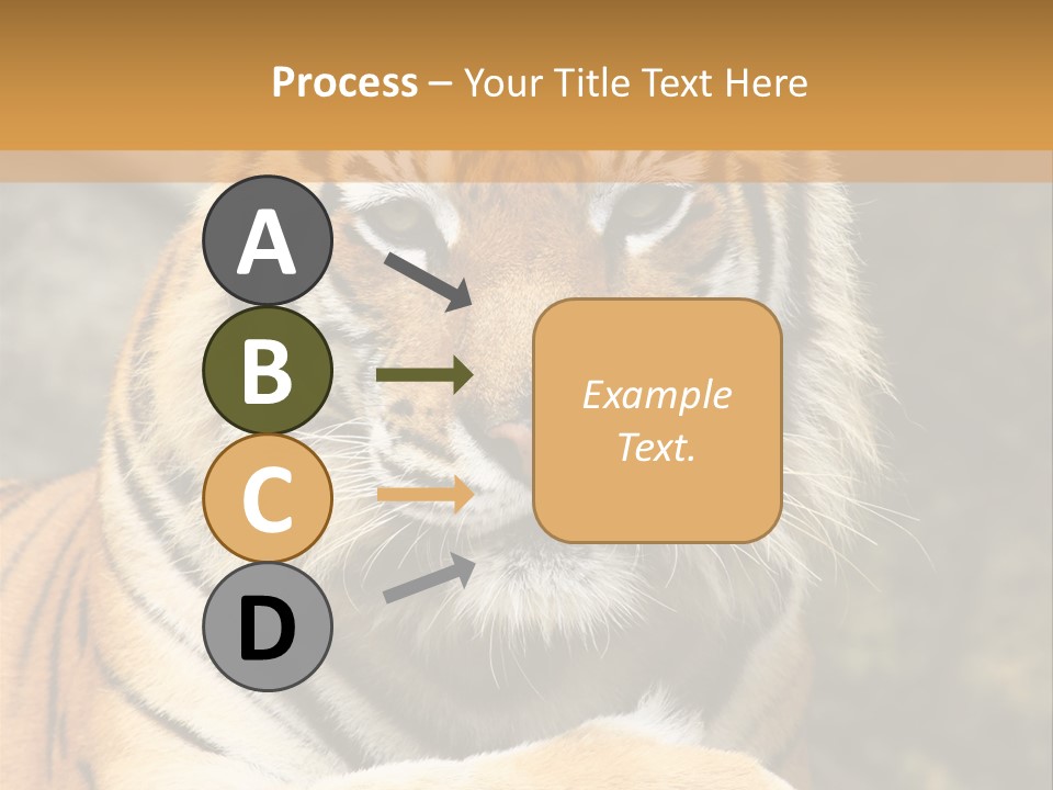 Jungle Wildcat Orange PowerPoint Template