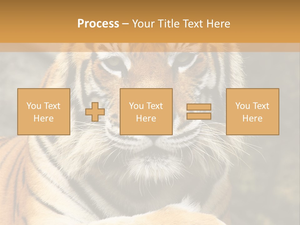 Jungle Wildcat Orange PowerPoint Template