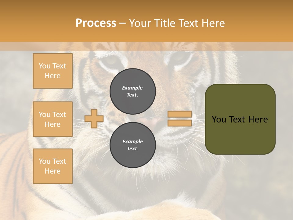 Jungle Wildcat Orange PowerPoint Template