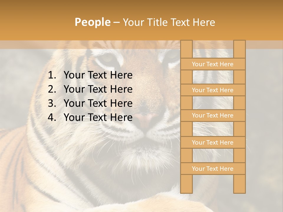 Jungle Wildcat Orange PowerPoint Template