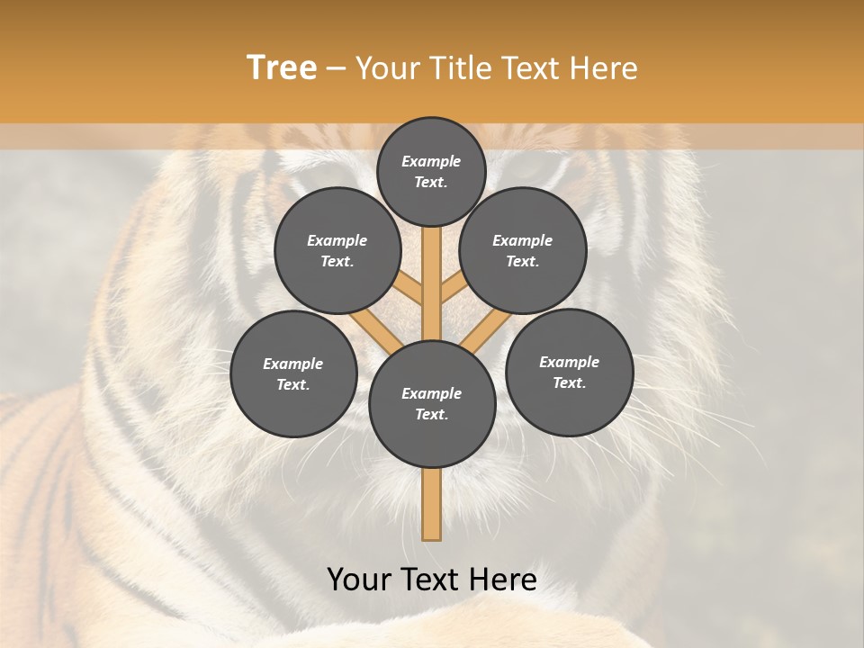 Jungle Wildcat Orange PowerPoint Template