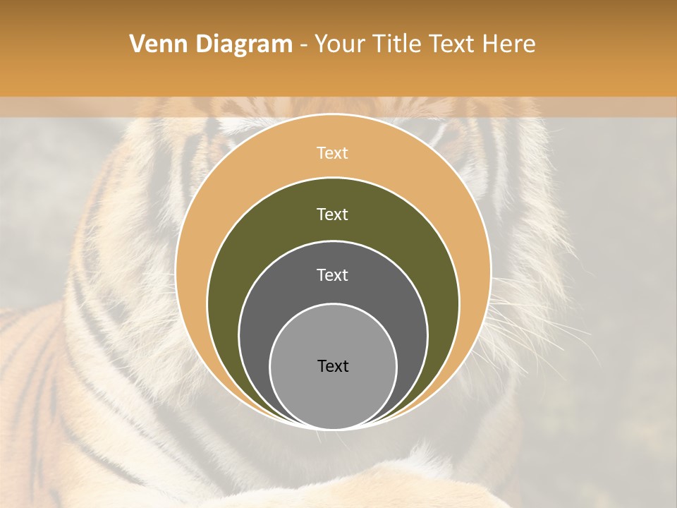 Jungle Wildcat Orange PowerPoint Template