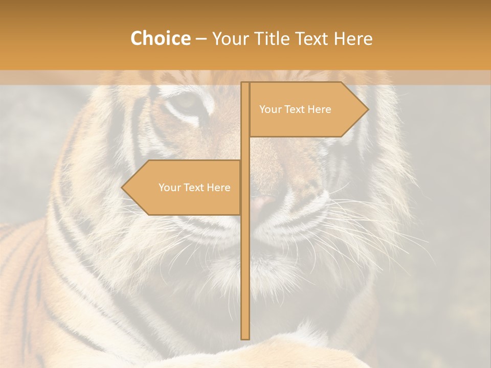 Jungle Wildcat Orange PowerPoint Template