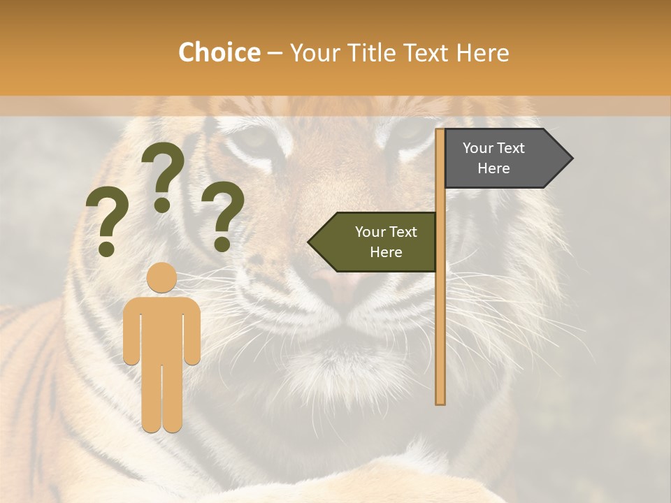 Jungle Wildcat Orange PowerPoint Template