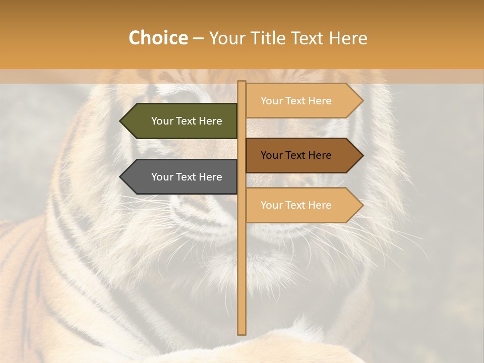 Jungle Wildcat Orange PowerPoint Template