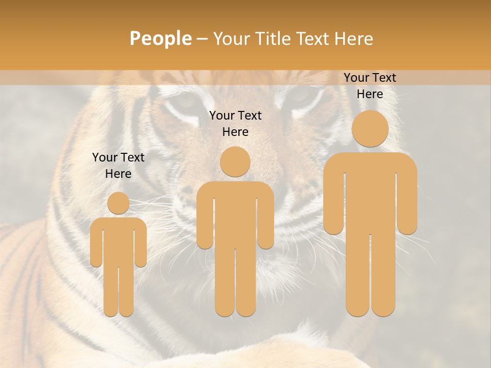 Jungle Wildcat Orange PowerPoint Template
