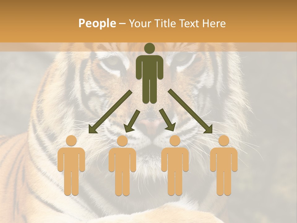Jungle Wildcat Orange PowerPoint Template