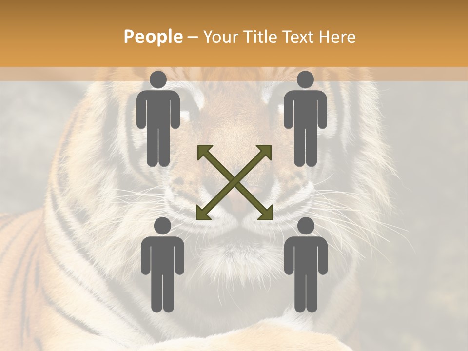 Jungle Wildcat Orange PowerPoint Template